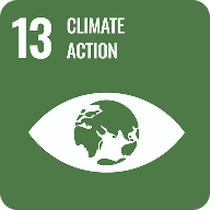 SDG 9